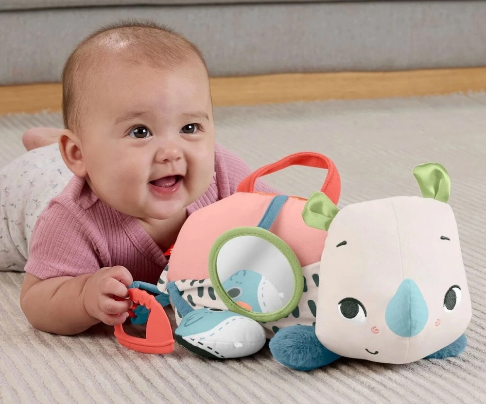 * 2025 Fisher-Price®       HYR55